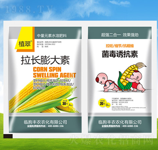 ���������+�����T����-ֲ��-�S�r�r��