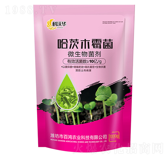 ����ľù��-�����r�I(y��)