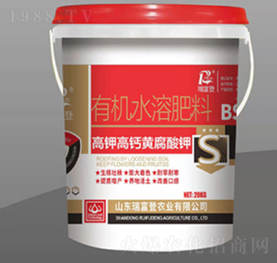 ��⛸��}�S�����-�𸻵�