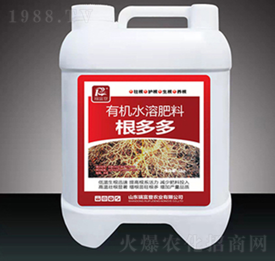 �����-�𸻵�