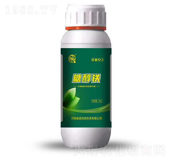 �Ǵ��F-�Z����