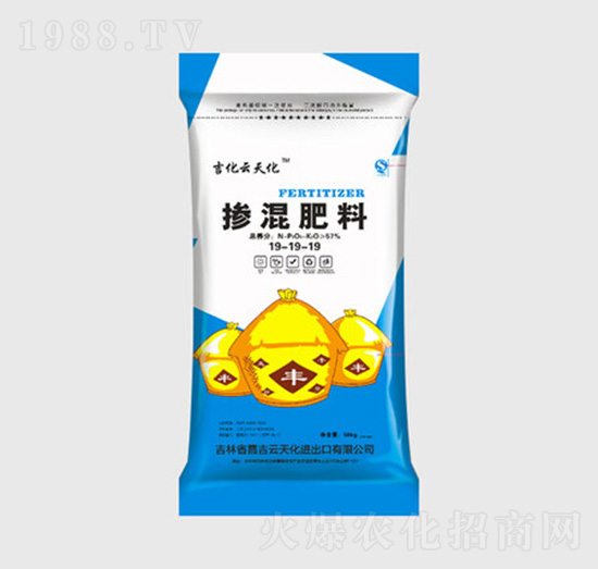 �������19-19-19-���S����