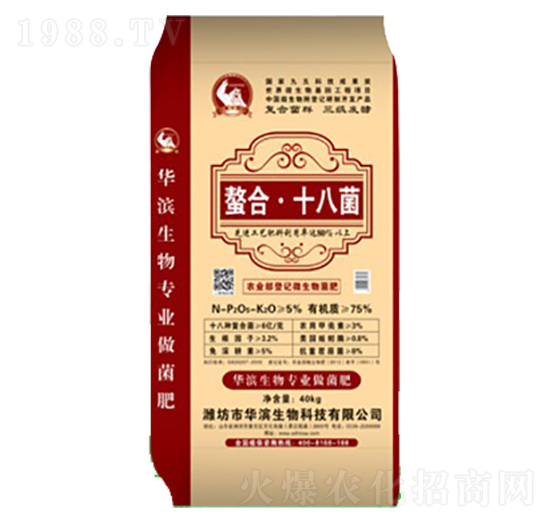 ����ʮ�˾�-�A�I����