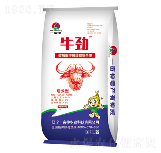 ̼ø���ȩ��ጏͺϷ���12-60-16-ţ��-һ����