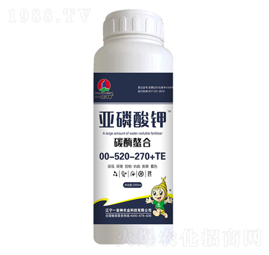 ̼ø���ρ������00-520-270+TE-һ����