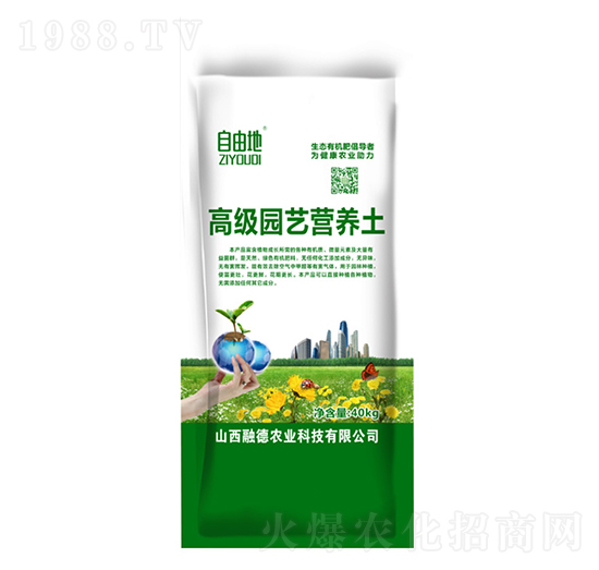 �߼��@ˇ�I�B(y��ng)��-���ɵ�-�ڵ��r(n��ng)�I(y��)