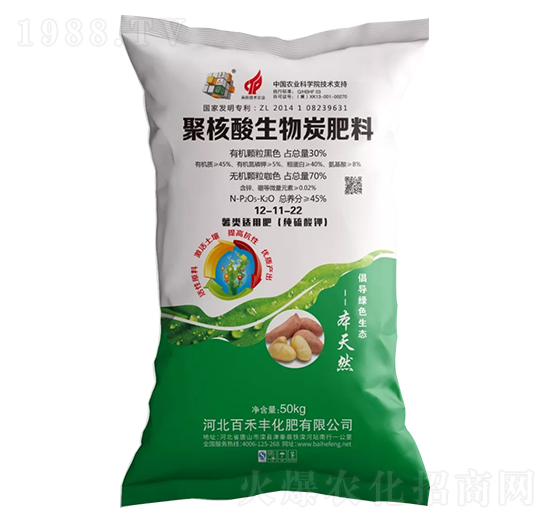 �ۺ�������̿����12-11-22-�ٺ��S