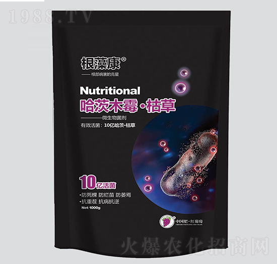 ���念����ľù�ݲ�-�t����