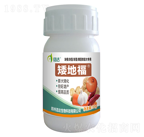 矮地福-浩達(dá)生物