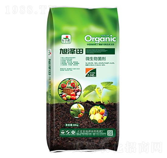 ΢�������-���ߌ�-�����