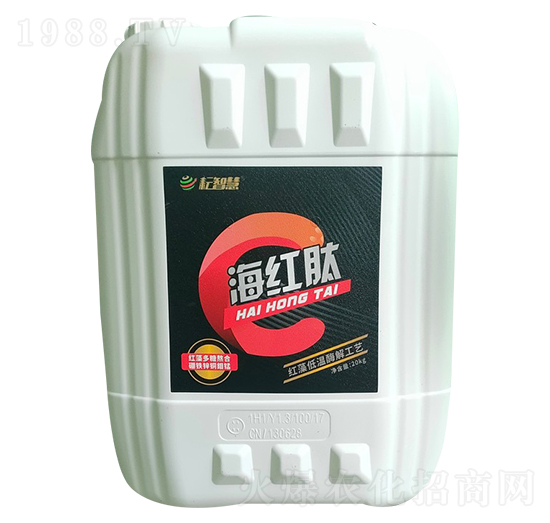 ���t�������-���ǻ�