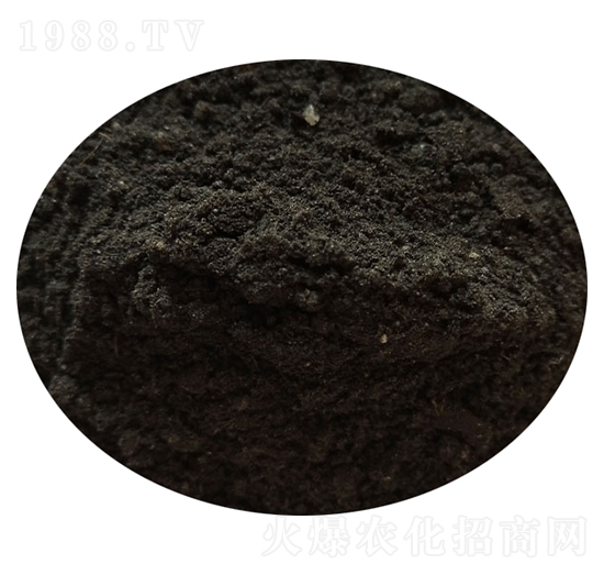 �u�S��-�T������