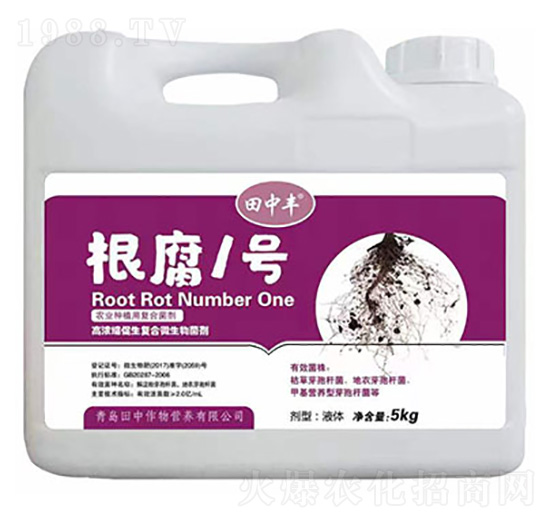 �ߝ�s�����ͺ�΢�������-����1̖-��������