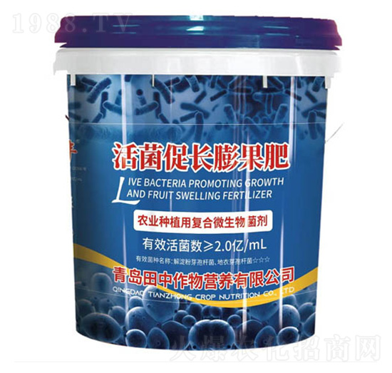 ������L�����-��������