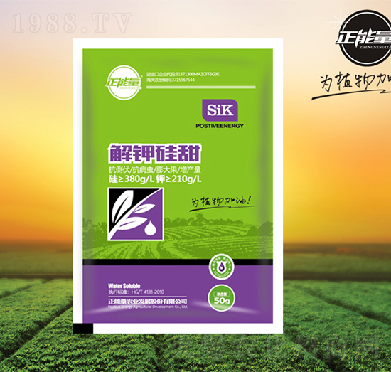 ��⛹����~���-������