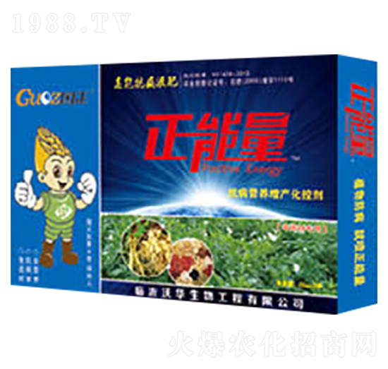 ��ˎ�Ŀ����I(y��ng)�B(y��ng)���a(ch��n)���؄�-������