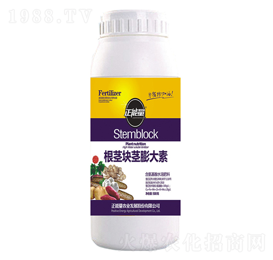 ���o�K�o�����-������