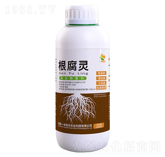 �����`-һ��ꖹ�