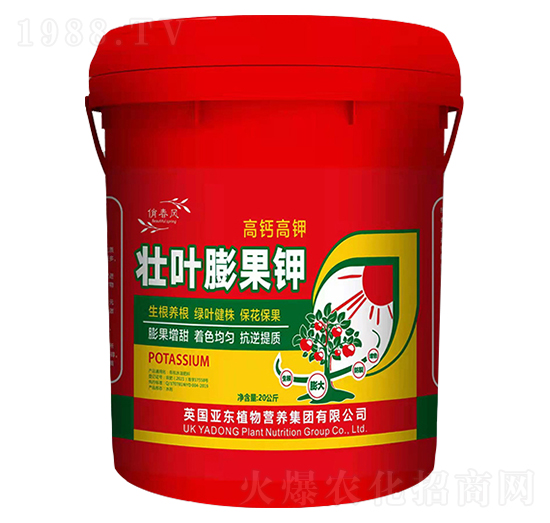 ���~����-���|����