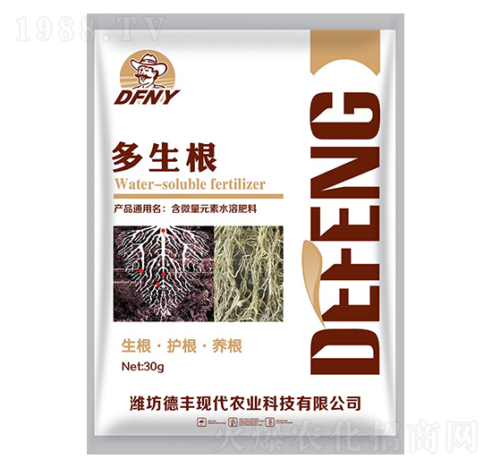 ������-���|����