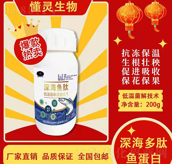 ������~(y��)����-���`����