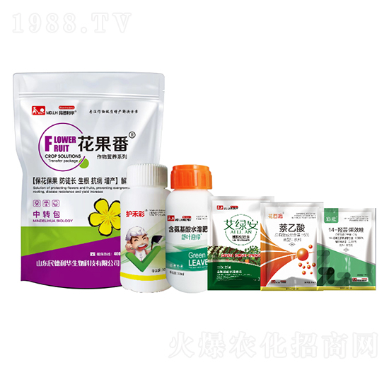 �������䌍�ײ�-������A