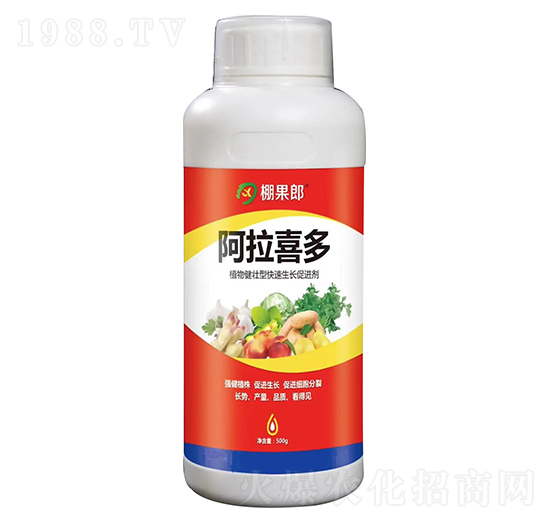 ֲ�｡���Ϳ������L���M(j��n)��-����ϲ��-�r(n��ng)ϲ�r(n��ng)�I(y��)