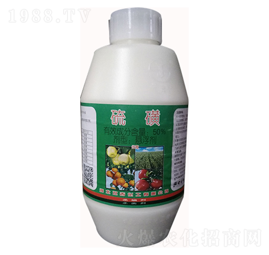 50%��ǑҸ���-�p������