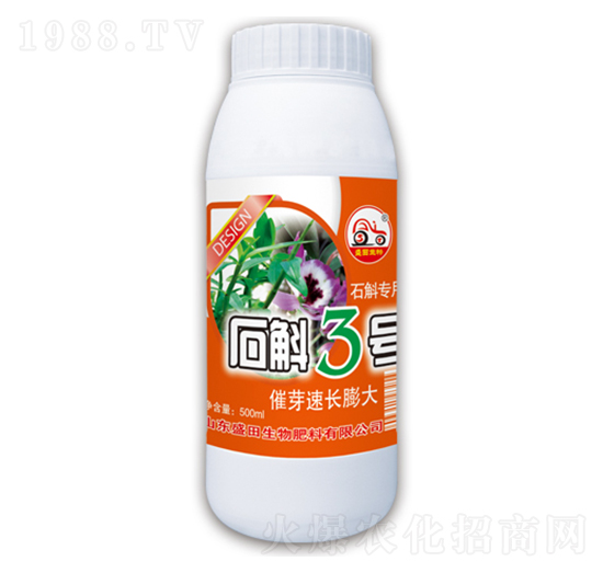 ʯ��3̖(h��o)-ʢ������