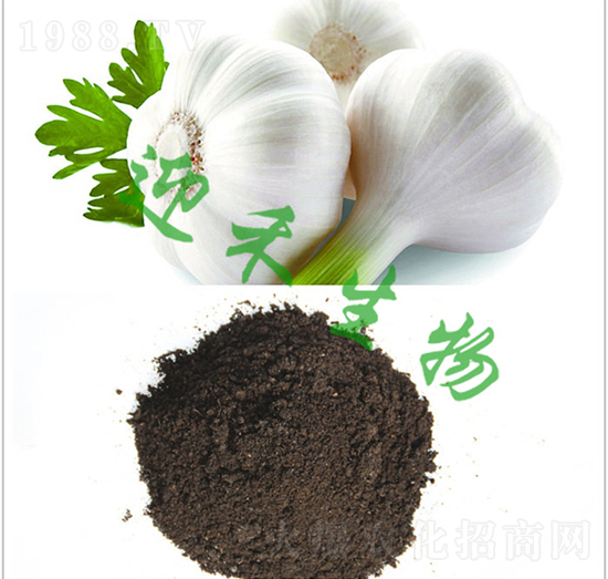 ���⌣�÷�-ӭ������