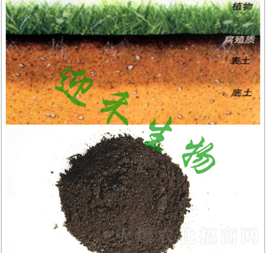 �����������÷�-ӭ������