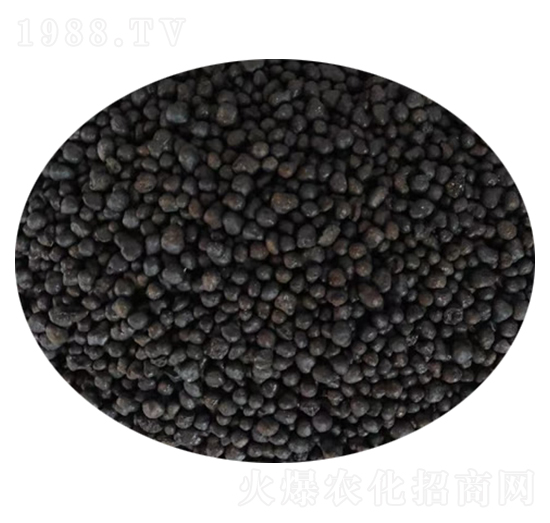 �����ЙC��-��������