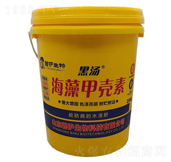 ����ך���-�ڜ�-���o(h��)����