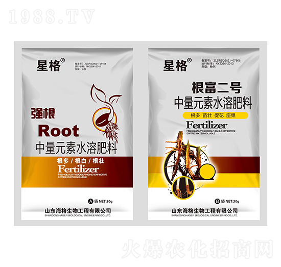 ����+������̖-�Ǹ�-��������