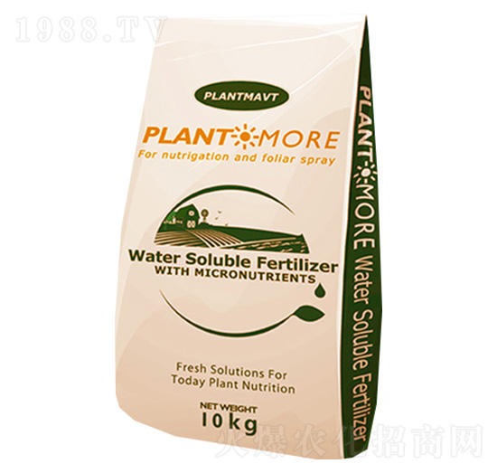 ���ͷ���-��������