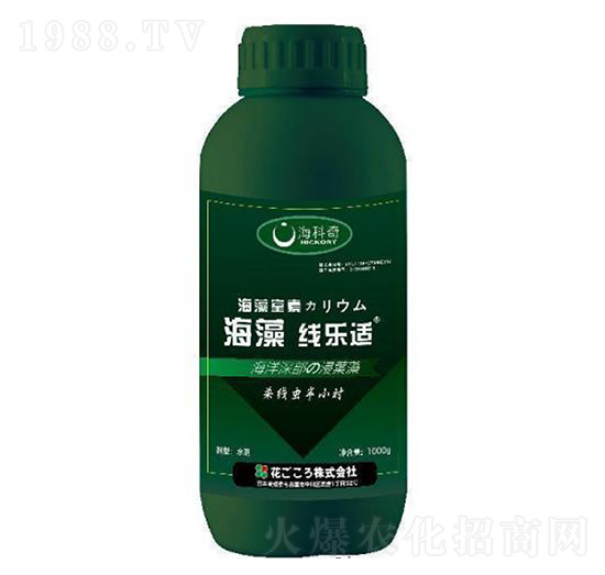 ���往���m-������