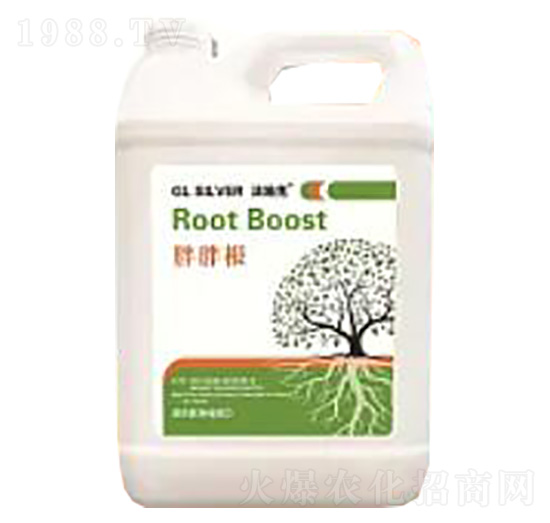 ���ָ�������-��ͫ����