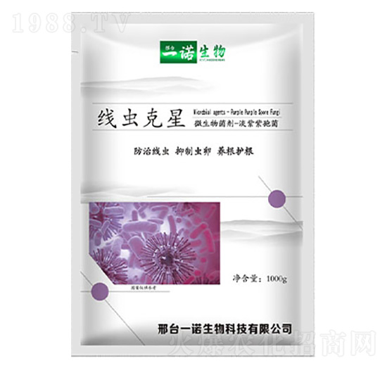 ���x����΢�������-���Z����