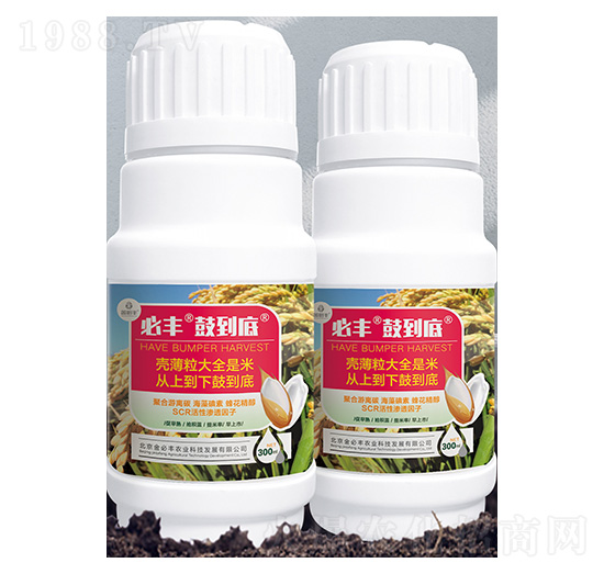 ˮ������-���S�ĵ���-����S