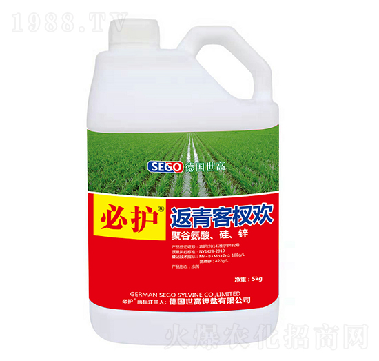 �����辚g-���o(h��)-����������