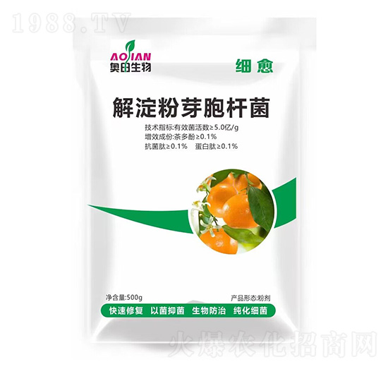 ����-�W������