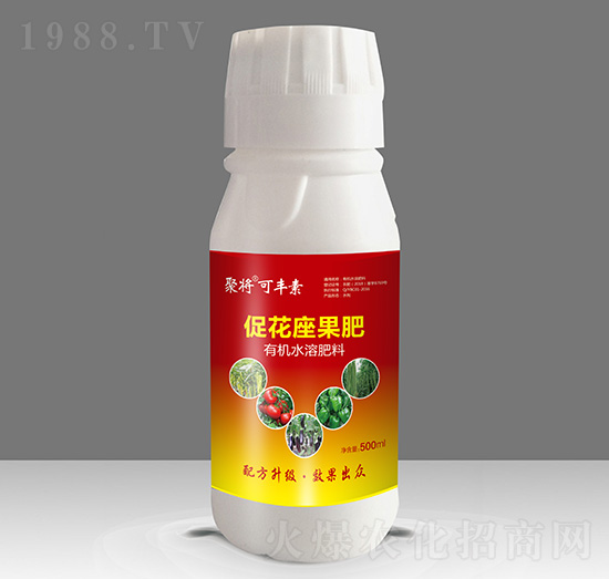 �ٻ�������-�ی����S��-�����A