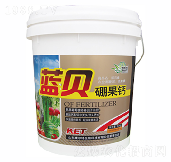 �{(l��n)ؐ����}-������