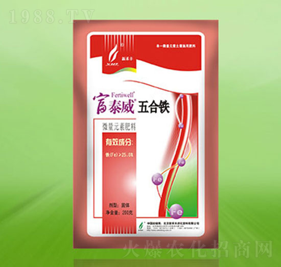 ����F-��̩��-�º��S