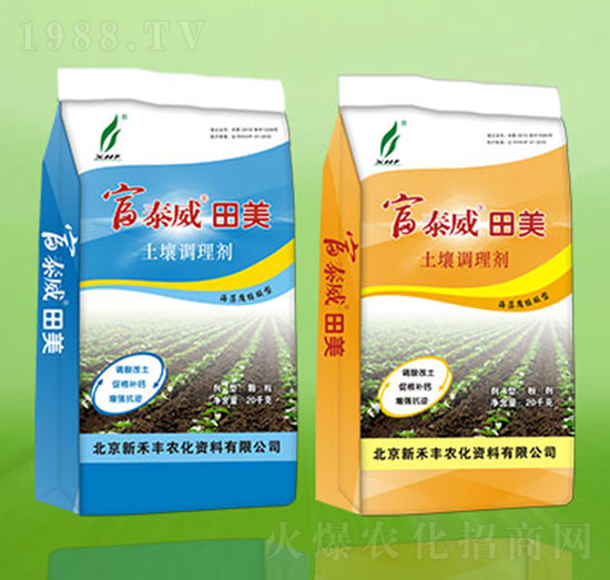 ��̩������-�º��S