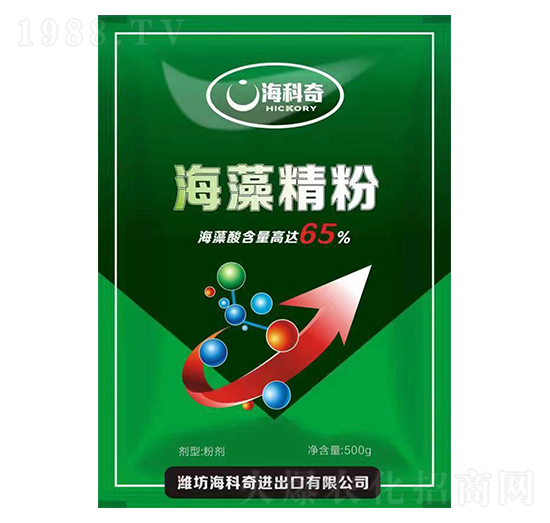 ���徫��-������