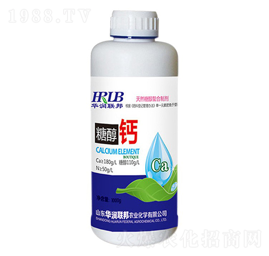 �Ǵ��}-�A���s��