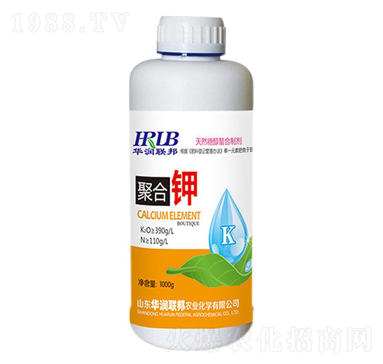 �ۺ��-�A���s��