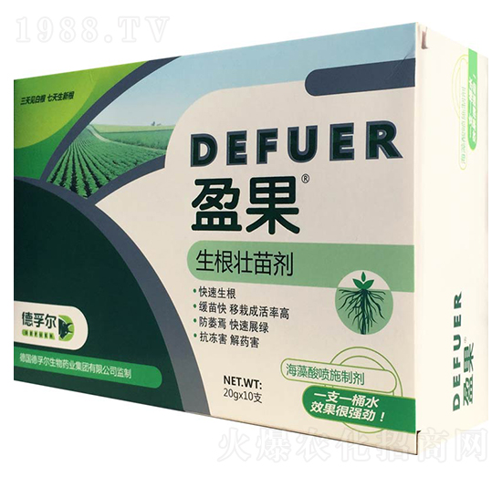 �������焩-ӯ��-���ڠ�