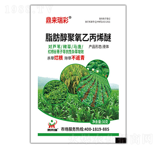 脂肪醇聚氧乙丙烯醚-鼎來(lái)瑞彩-鼎來(lái)瑞